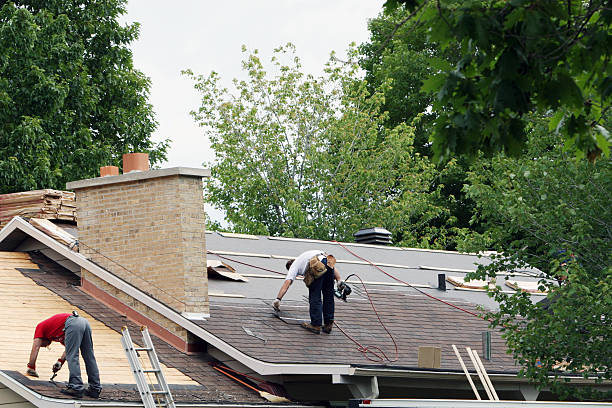 Best Storm Damage Roof Repair  in Shady Spring, WV