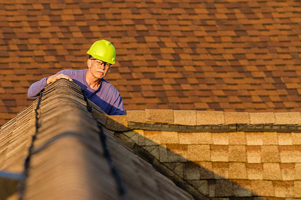 Best Roof Leak Repair  in Shady Spring, WV