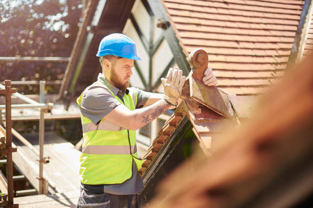 Best Roof Repair Services  in Shady Spring, WV