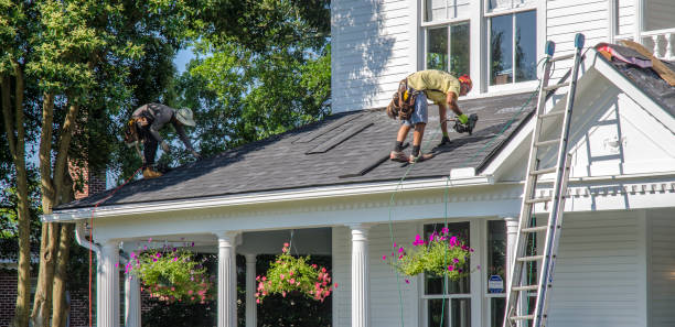 Best Roof Maintenance Services  in Shady Spring, WV