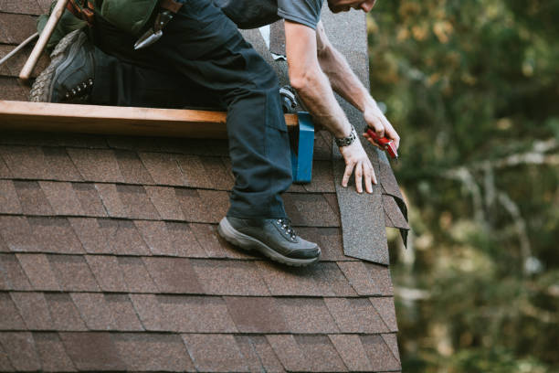 Best Local Roofing Companies  in Shady Spring, WV